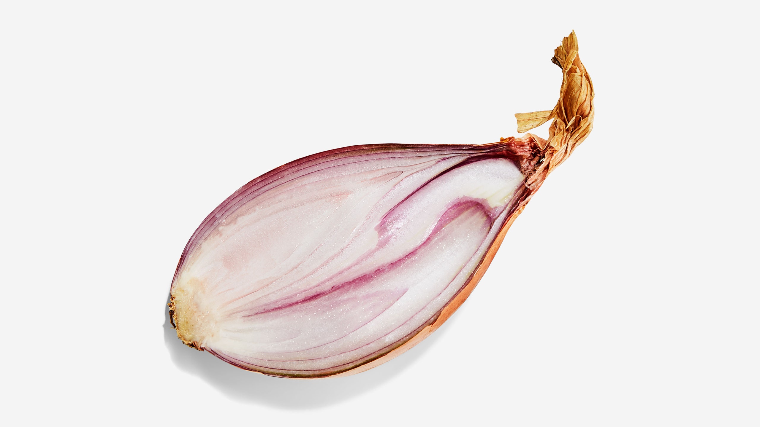 what are shallots